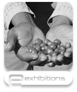 exhibition stands button