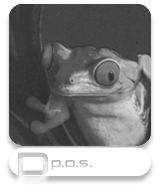 point of sale button